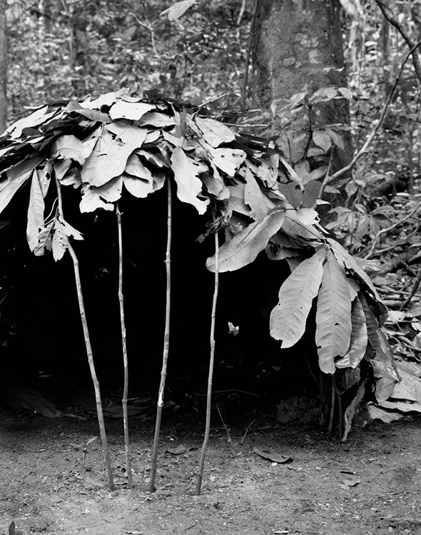 BaAka Africa Winfried Bullinger Photography