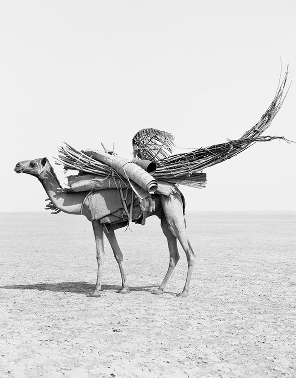 Afar Africa Winfried Bullinger Photography