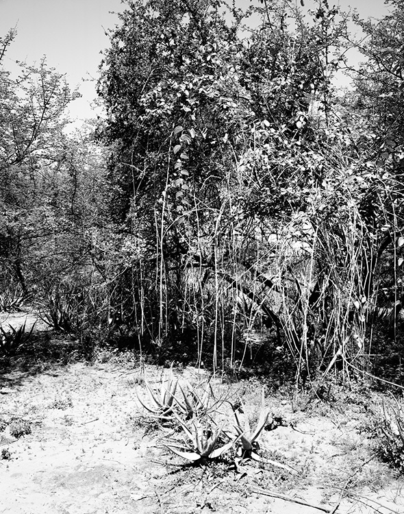 Bodu Africa Winfried Bullinger Photography