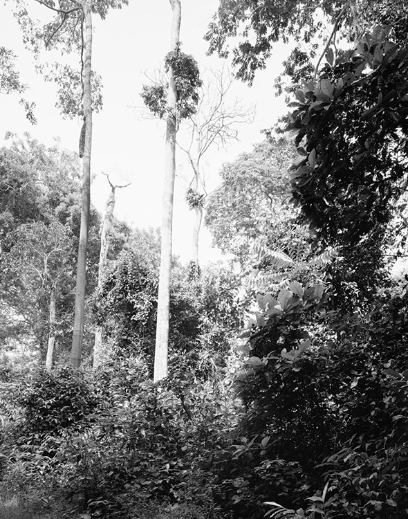 Sangha Africa Winfried Bullinger Photography